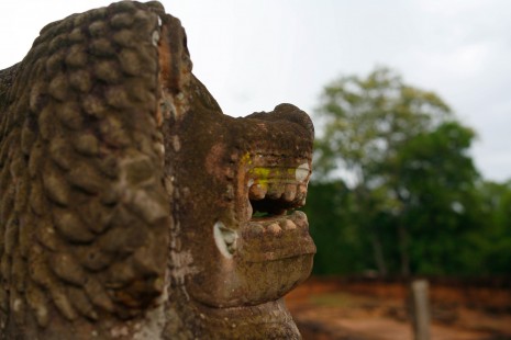 A lion stands guard at the gate of the 10th Century East East Mebon temple at Angkor. (Tushar Dayal)