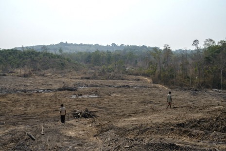 A photo taken earlier this year shows forest cleared inside the economic land concession of Vietnam's Hoang Anh Gia Lai rubber company in Ratanakkiri province. Global Witness says villagers used to rely on this land and forest for their livelihoods. (Global Witness)