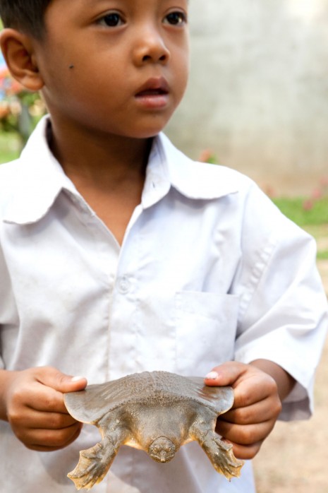 A boy holds a Cantor Soft-Shell Turtle at the Mekong Turtle Conservation Center in Kratie province. (Photo supplied)