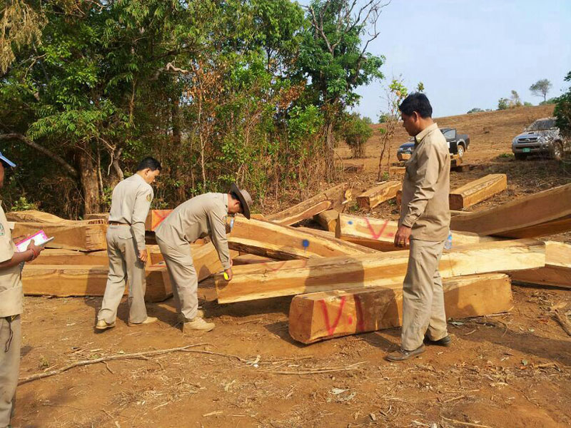 Mondolkiri provincial police and forestry officials measure pieces of luxury wood seized from a logging company Wednesday. (Tep Sareth)