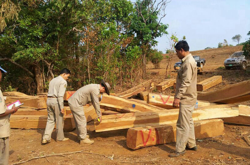 Mondolkiri provincial police and forestry officials measure pieces of luxury wood seized from a local logging company in March. (Tep Sareth)