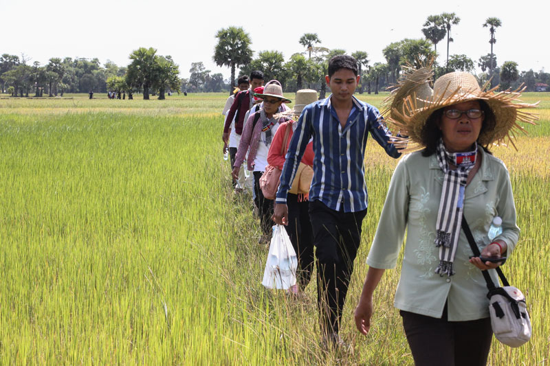 A group of students and nationalist activists trek through a rice field in Svay Rieng province Sunday on their way to inspect demarcation posts on the Cambodian-Vietnamese border. (Alex Willemyns/The Cambodia Daily)