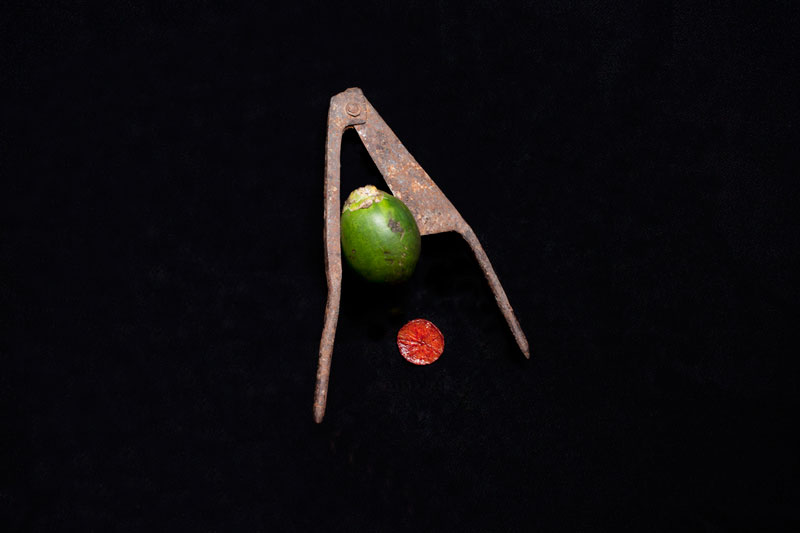 ‘Betel Nut Cutter and Betel Nut,’  part of photographer Kim Hak’s ‘Alive’ series. The cutter was among objects carried by Gnet Yorn, who passed away in 2004 at age 93, during the Khmer Rouge regime. (Kim Hak)