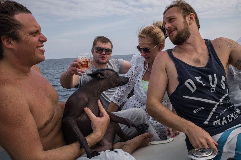 From left: Sergei Polonsky; his Mexican hairless dog, Flynt; his friend Denis Kozlov, his girlfriend Olga Deripasko; and his lawyer Kaspars Cekotins sit on the bow of a dive boat bound for Koh Damlong on December 2. (Ben Woods/The Cambodia Daily)