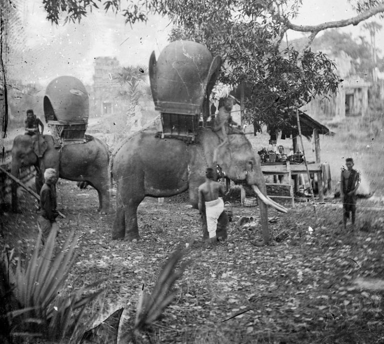 Pioneer Photographer