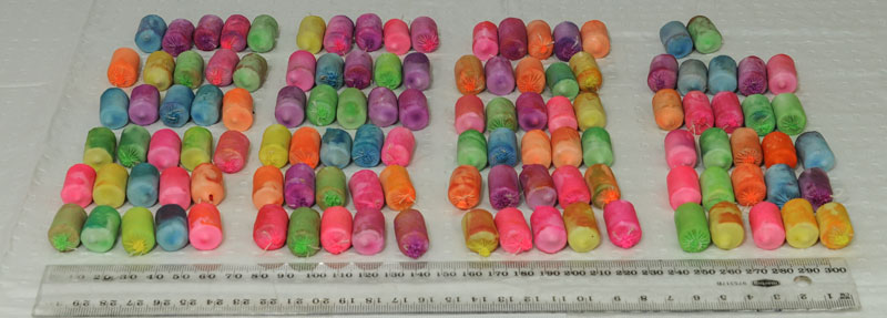 Balloons packed with heroin are displayed following the January 8 arrest of a Cambodian-Australian woman who allegedly ingested them and smuggled them from Cambodia to Sydney's airport. (Australian Federal Police)