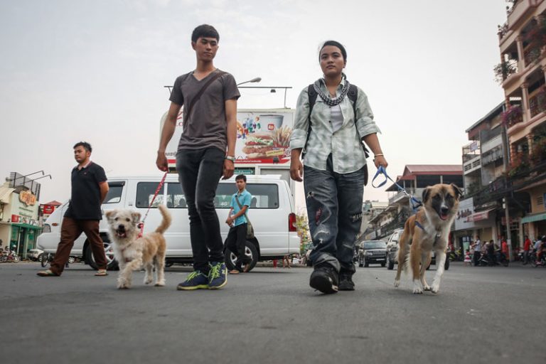 City Hall Shuts Down Rally Against Consumption of Dog Meat