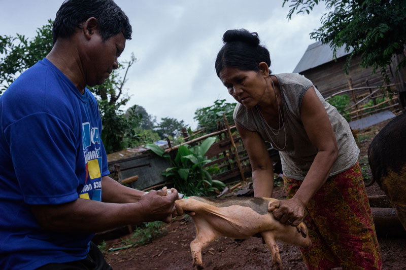 Vin Chroeng, left, and Roem Bagn tend to a pig. (Hannah Reyes/Ruom)