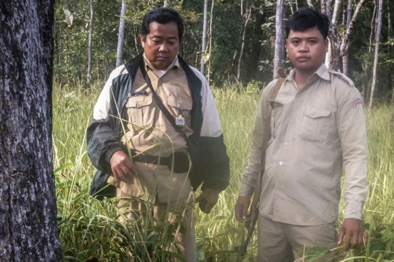 Government Pledges Thirty Percent Boost in Forest Rangers by 2017