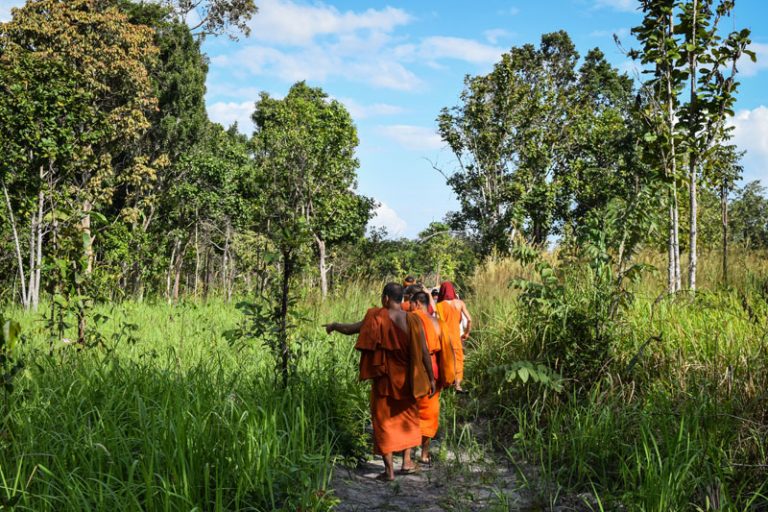 Monk Seeks Saffron Solution to Rampant Logging