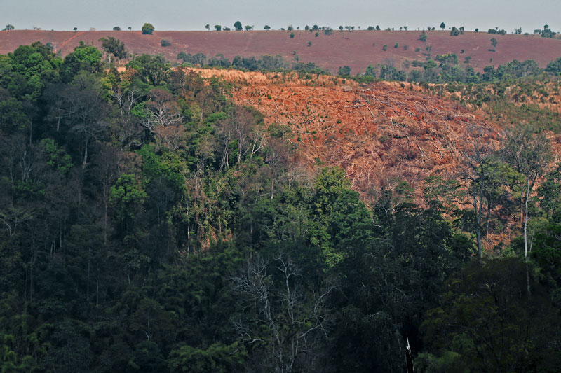 A partially cleared forest near Sen Monorom City in Mondolkiri province last year. (Aria Danaparamita/The Cambodia Daily)