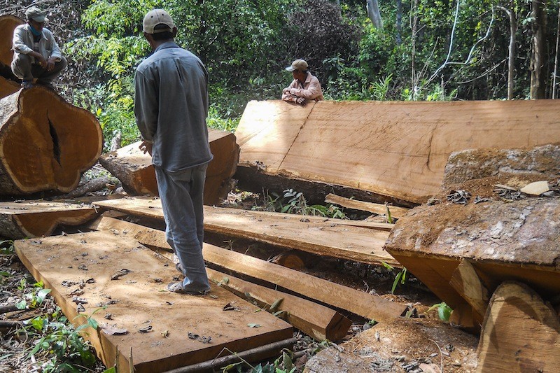 Three members of the Prey Long Community Network rest near a stockpile of confiscated timber during a patrol of the Prey Long forest earlier this month. (Nou Narith)