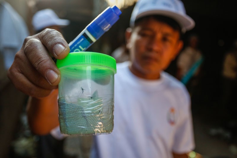 A health worker displays a mosquito captured in Phnom Penh's Russei Keo district on Thursday. (Siv Channa/The Cambodia Daily)