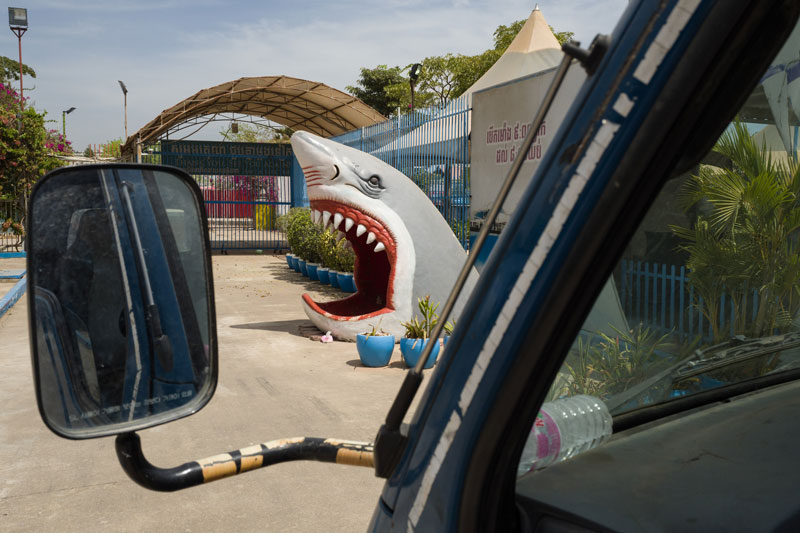 A shark surfaces in front of a closed exit route. (John Vink)
