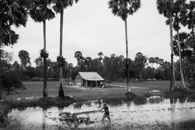 A farmer ploughs after the first heavy downpour from the rainy season flooded his rice field in May (John Vink)