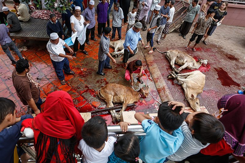 Children watch as a man washes the blood from a cow slaughtered at Phnom Penh's Nussunain Mosque on Monday during a celebration to mark Eid al-Adha, one of the two largest holidays of the Muslim calendar. (Siv Channa/The Cambodia Daily)