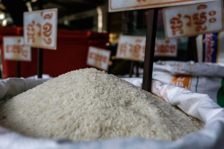 Paddy Prices Hit New Low Ahead of Pchum Ben Holiday