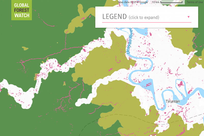 An example of the satellite data published by Global Forest Watch using the GLAD alerts system, from Peru. The pink lines show evidence of logging roads cut through the forest over the past two years. (Global Forest Watch)