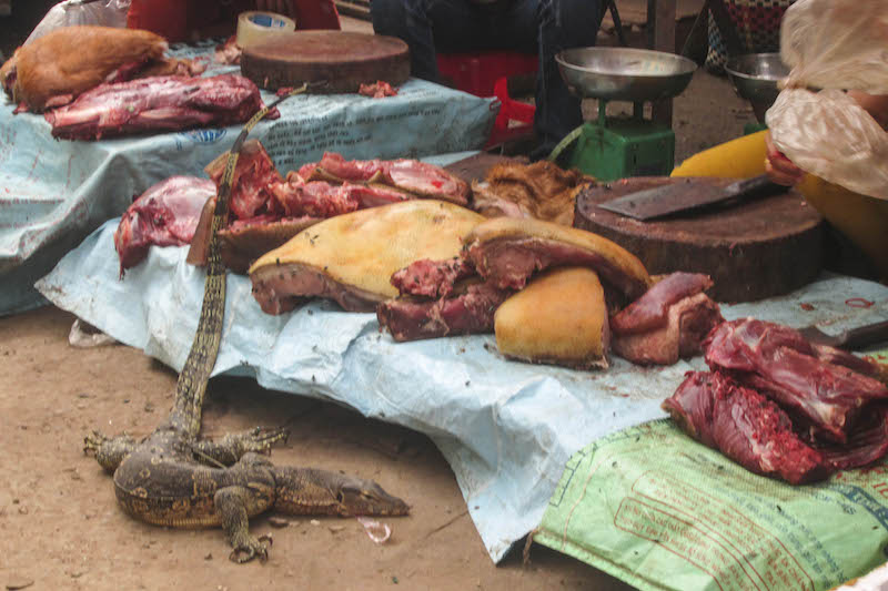 Vendors openly sell wild meat and a live lizard in a Stung Treng City market last year. (Aisha Down/The Cambodia Daily)