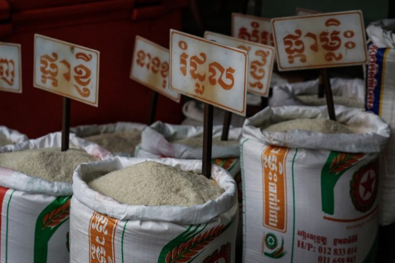 Government to Aid Rice Exports To China