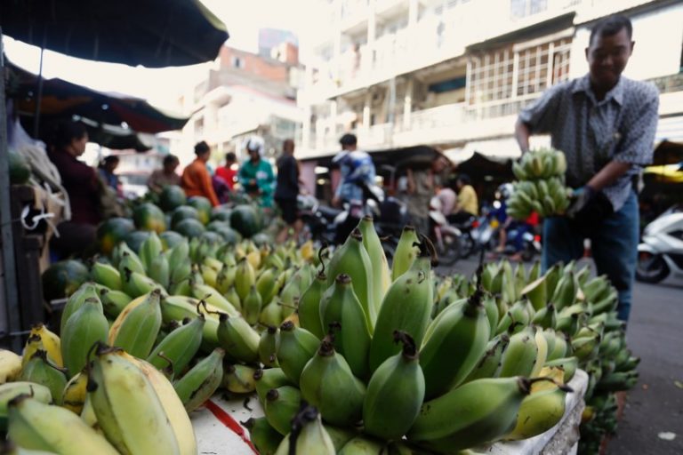 Chosen by Angel for Bumper Crop, Banana Prices Rise for New Year