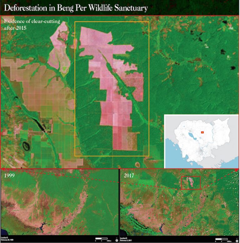 Satellite Spies Fresh Clearing Of Wildlife Sanctuary Forest