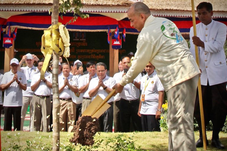 King Asks the Public to Stop Illegal Logging, Plant Trees