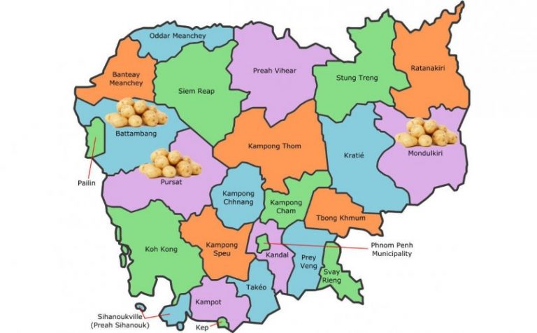 Potato Research Centre Cambodia identifies best locations for potato cultivation