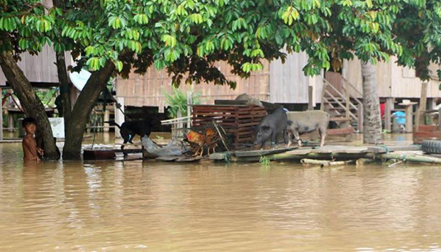 More Than 1,000 Families in Cambodia Suffer After Flooding of Mekong River Tributary