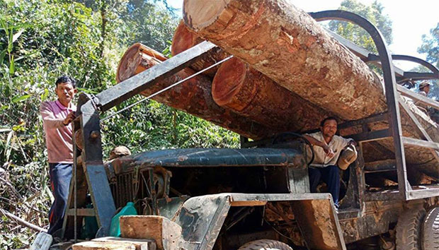 Cambodian Groups Urge EU Pressure on Vietnam Over Illegal Timber Trade