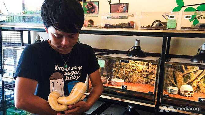 Animal cafe trend a concern for wildlife experts in Cambodia