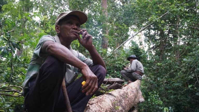 How indigenous ‘vigilante’ grandfathers protect forest life