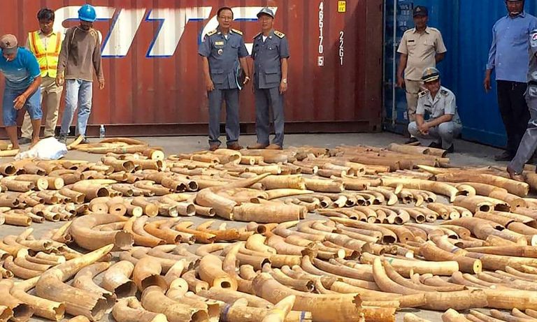 Cambodia seizes record three-tonne haul of African ivory