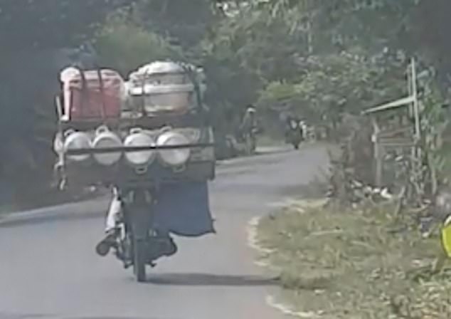 Shocking moment stolen pet dogs crammed into a cage are delivered to a slaughterhouse to be turned into human food in Cambodia