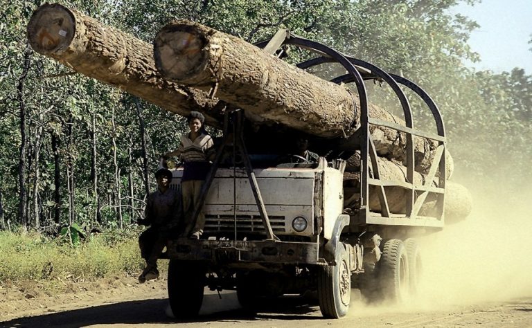 Cambodia mulls tougher laws on illegal timber logging