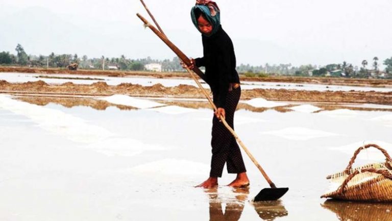 Chinese salt imports reach Cambodia at $100 per tonne