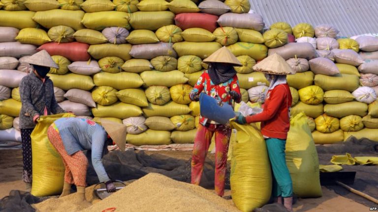 Huge Land Loss Predicted for Vietnam’s Mekong Delta