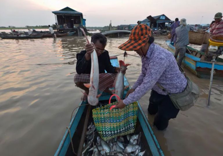 Cambodia faces hefty hike in seafood export tariffs