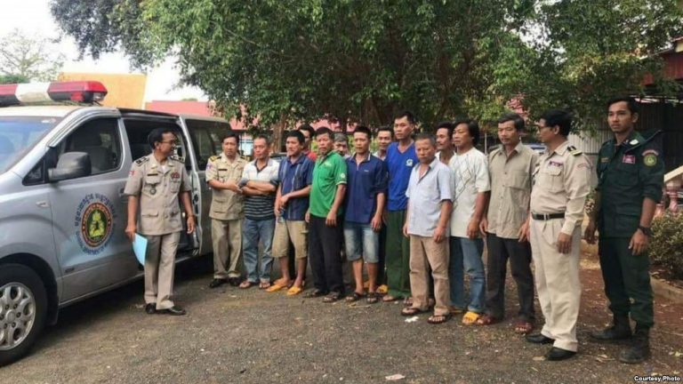 Ruling Party Lawmaker Linked to Illegal Logging Charges
