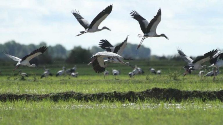 Agro-tourism takes visitors back to a bygone era in Cambodian history
