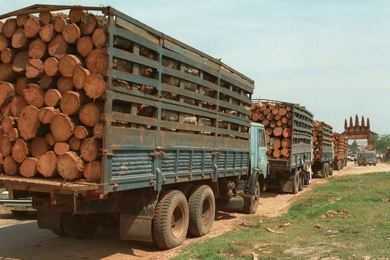 Timber mischief in Vietnam