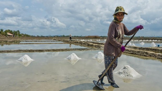 Cambodia may face salt shortage this year