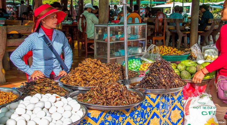 Insects everywhere! Cambodia’s expansive creepy-crawly menu