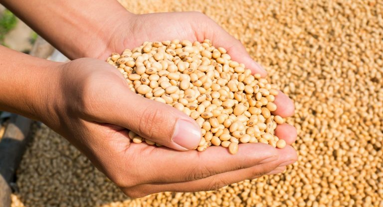 Cambodian aquafeed plant to open in June