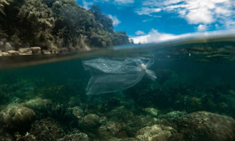Tackling plastic pollution for communities and coral reefs in coastal Cambodia