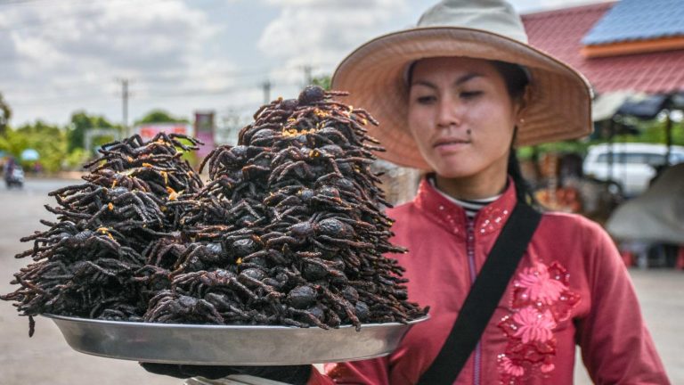 Inside Cambodia’s tarantula snack trade