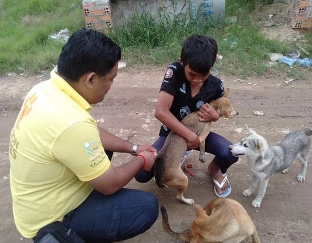 PPAWS Works With Mission Rabies To Vaccinate Thousands Of Animals in Cambodia