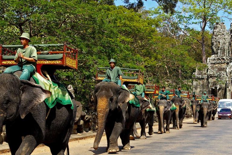 Headway! Elephant Rides to Come to a Halt at Cambodia’s Principal Attraction – Angkor Wat