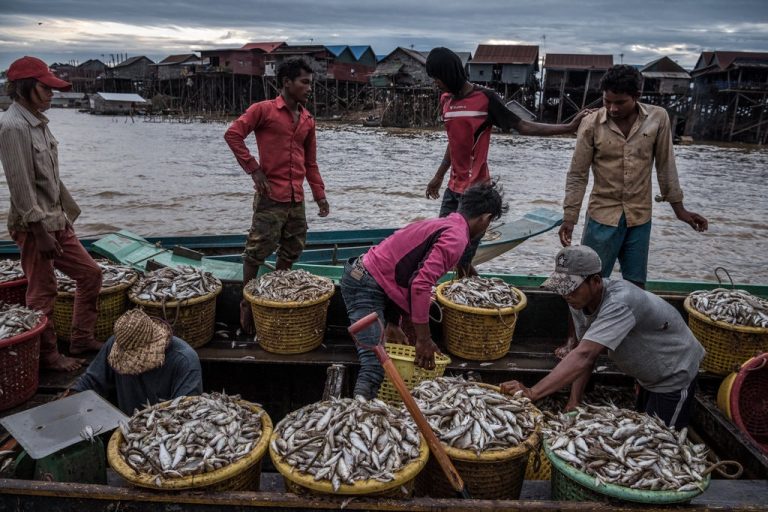 At a Cambodian Lake, a Climate Crisis Unfolds