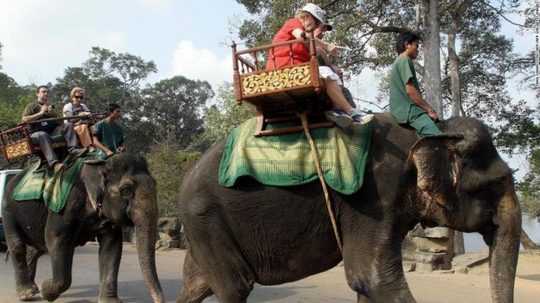 Video: Cambodia to ban elephant rides at Angkor Wat